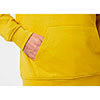  helly hansen HH BOX HOODIE Antique Moss