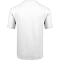  salewa Lines Graphic Dry M T-Shirt