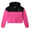 the north face  Drew Peak Cropped PO Hoodie Girl LINARIA PI