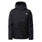  the north face Down Insulated DryVent Triclimate Jacket W