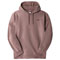 the north face  City Standar Hoodie