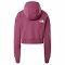  the north face Trend Crop Hooodie W