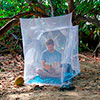  lifesystems BoxNet Single Mosquito Net