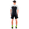  dynafit Alpine Pro Tee