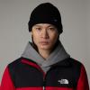  the north face TNF FISHERMAN BEANIE Tnf Black