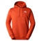  the north face Outdoor Graphic Hoodie Light
