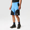 the north face Felik Tapered Shorts