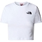 the north face  Crop Tee W FN4