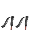 Hůlky scott JR TEAM ISSUE GS BLACK