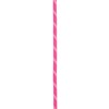 Lano edelrid Performance Static 10,5mm x200 m PINK