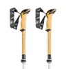 Stolpar leki CRESSIDA FX CARBON AS white-mango-silver