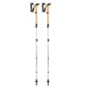 Stolpar leki CRESSIDA FX CARBON AS white-mango-silver