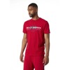 helly hansen T-shirt GRAPHIC T-SHIRT White RED