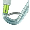Mosquetón edelrid Bruce Steel Screw FG II silver