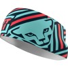 Culotte dynafit PERFORMANCE HEADBAND Atlantic/09 8052
