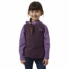 Felpa helly hansen DAYBREAKER HOODIE Amethyst
