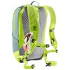 Mochila deuter Lite 17