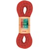 Rep fixe 9,8 FOIXARDA Red, 50m