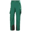 helly hansen Pants ULLR D PANT Concrete EMERALD