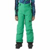  helly hansen Legendary Pant Jr GREEN