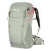 Batoh salewa Alp Trainer 20 WS SHADOW
