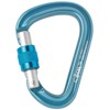 beal Carabiner BE SAFE