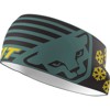 Briefs til Kvinder dynafit PERFORMANCE HEADBAND Nimbus/0910 3091