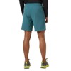 Calças helly hansen ROAM SHORTS Dark Creek