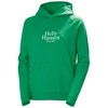  helly hansen W CORE GRAPHIC HOODIE Lav Green BRIGHT GRE