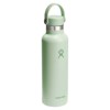 Ivópalack hydro flask STANDARD FLEX CAP