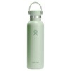 Gertuvė hydro flask Standard Flex Cap ALOE