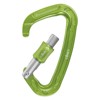 Karabína beal QUICK Green