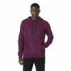 helly hansen HH Box Hoodie DARK MAGEN