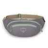 Ledvinka osprey DAYLITE WAIST PACK SouGrey/LatBrw