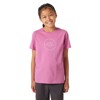 Camiseta helly hansen GRAPHIC T-SHIRT Navy META PINK
