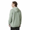 Sweatshirt helly hansen CORE GRAPHIC Eucalyptus