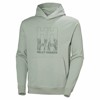 Sweatshirt helly hansen CORE GRAPHIC Eucalyptus