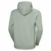 Sweatshirt helly hansen CORE GRAPHIC Eucalyptus