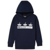 Mikina helly hansen GRAPHIC HOODIE Navy