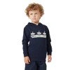 Pulóver helly hansen GRAPHIC HOODIE Meta Pink NAVY