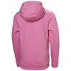 Mikina helly hansen GRAPHIC HOODIE
