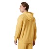 Sweatshirt helly hansen CORE HOODIE Sand