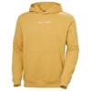 Sweatshirt helly hansen CORE HOODIE Sand