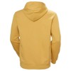 Sweatshirt helly hansen CORE HOODIE Sand
