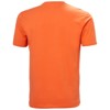 T-Shirt helly hansen MASSIF GRAPHIC
