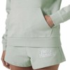 Mikina helly hansen CORE GRAPHIC HOODIE Green