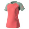 Marškinėliai dynafit Alpine Pro W S/S