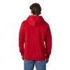 Sweatshirt helly hansen CORE GRAPHIC SWEAT HOODIE Red