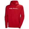Sweatshirt helly hansen CORE GRAPHIC SWEAT HOODIE Red