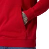 Sweatshirt helly hansen CORE GRAPHIC SWEAT HOODIE Red